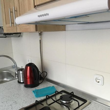Apartaments In Karpaty Mizhhirya  Extérieur photo