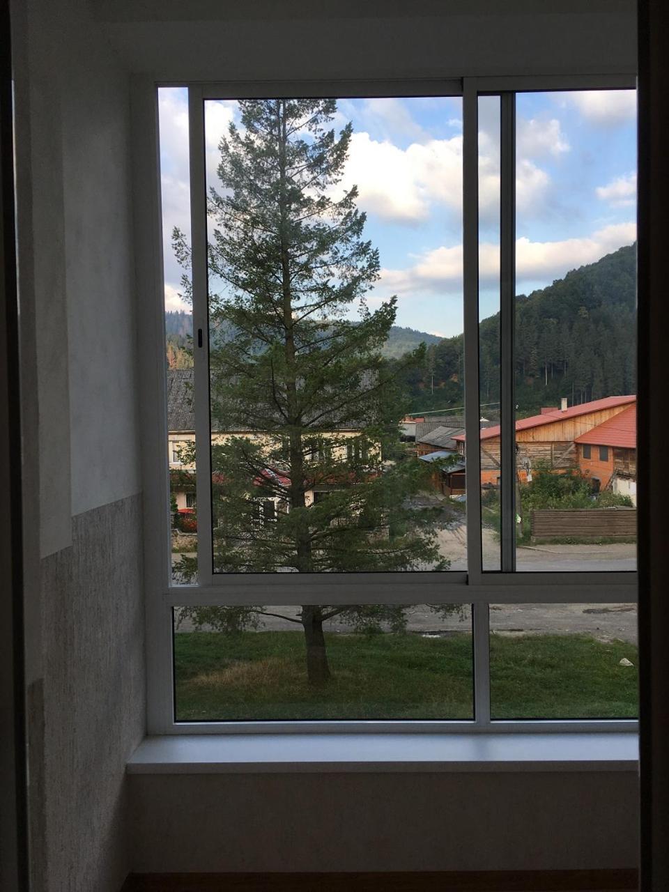Apartaments In Karpaty Mizhhirya  Extérieur photo