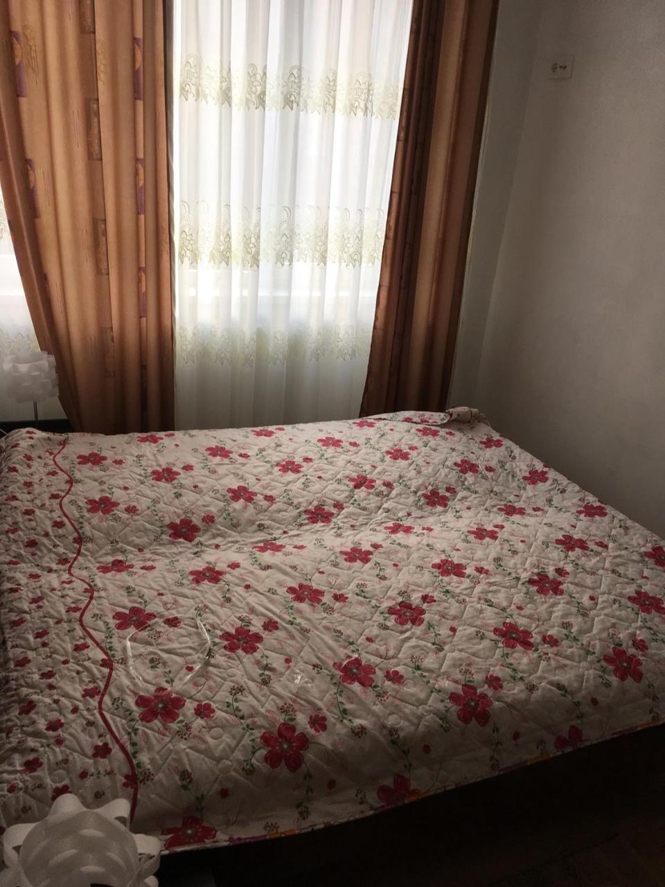 Apartaments In Karpaty Mizhhirya  Extérieur photo