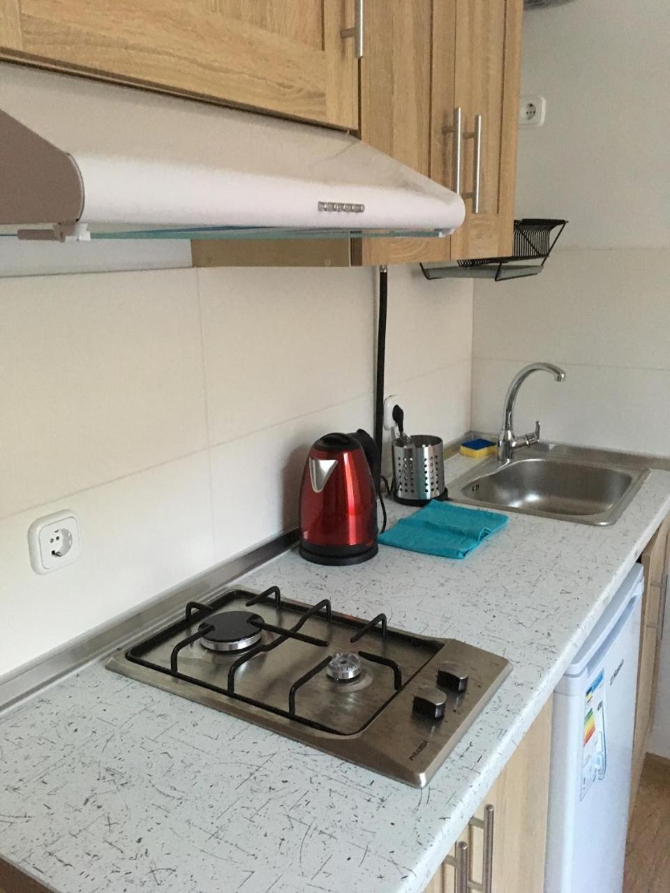 Apartaments In Karpaty Mizhhirya  Extérieur photo