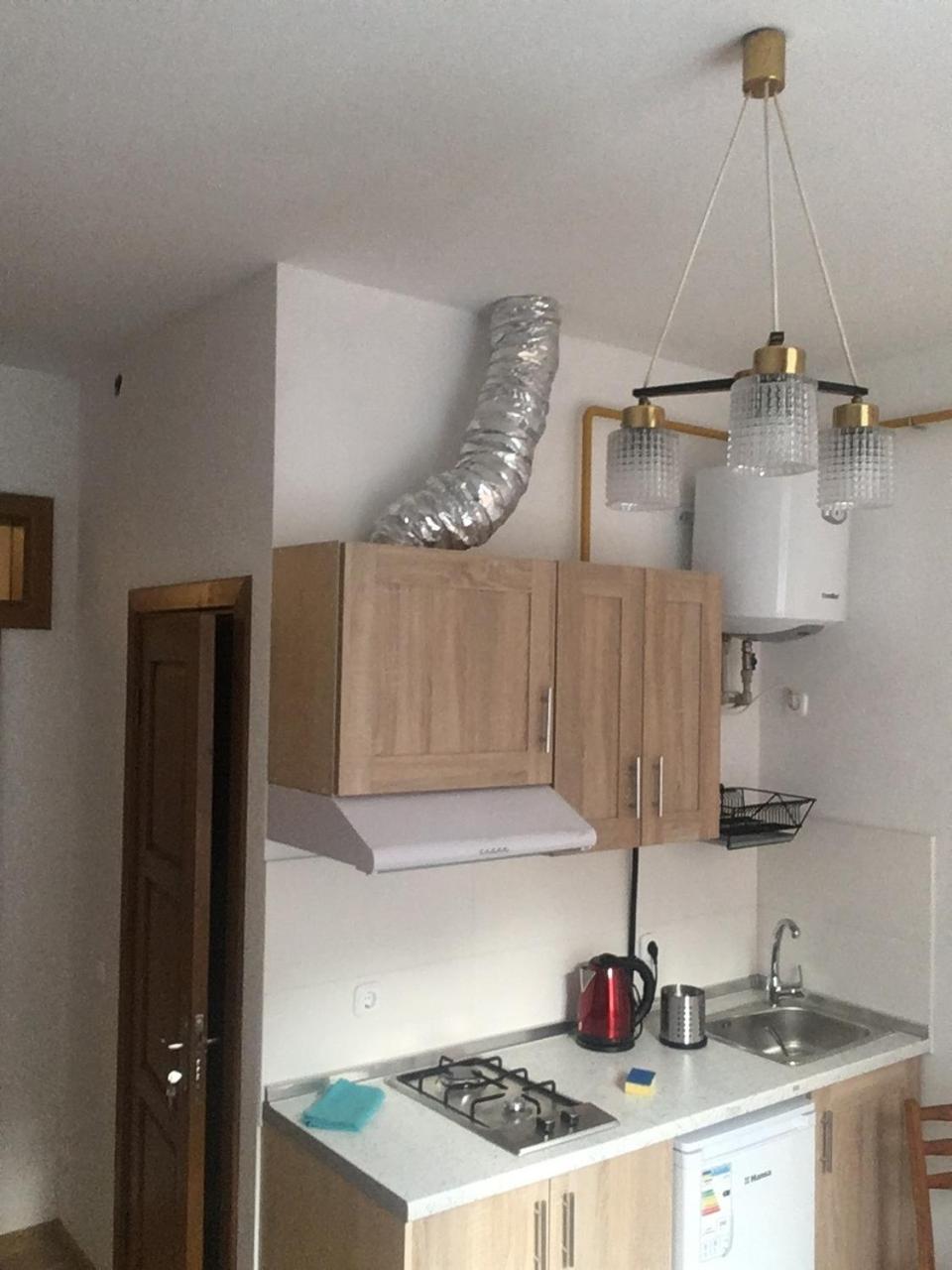 Apartaments In Karpaty Mizhhirya  Extérieur photo