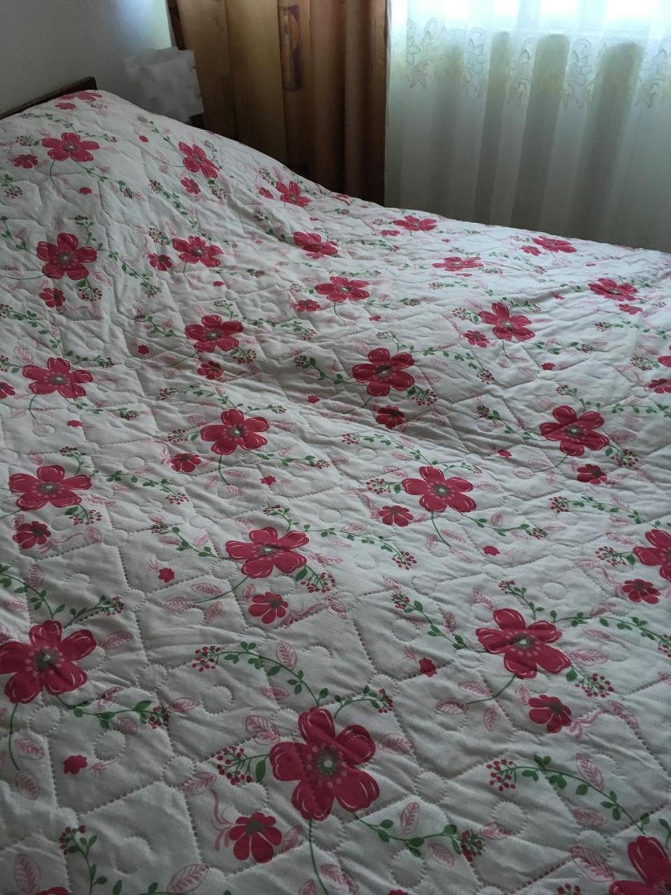 Apartaments In Karpaty Mizhhirya  Extérieur photo