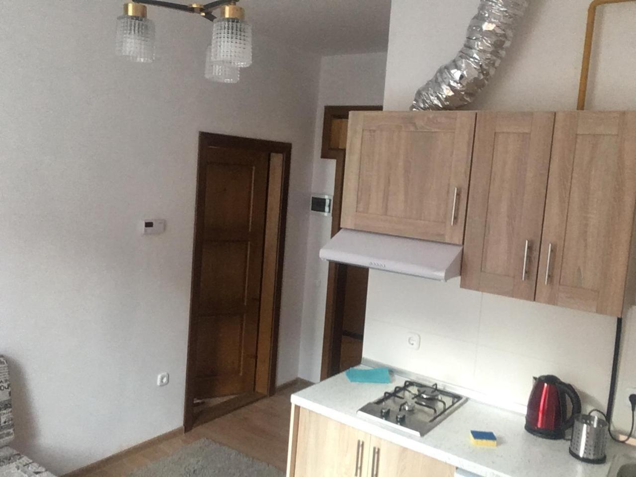 Apartaments In Karpaty Mizhhirya  Extérieur photo