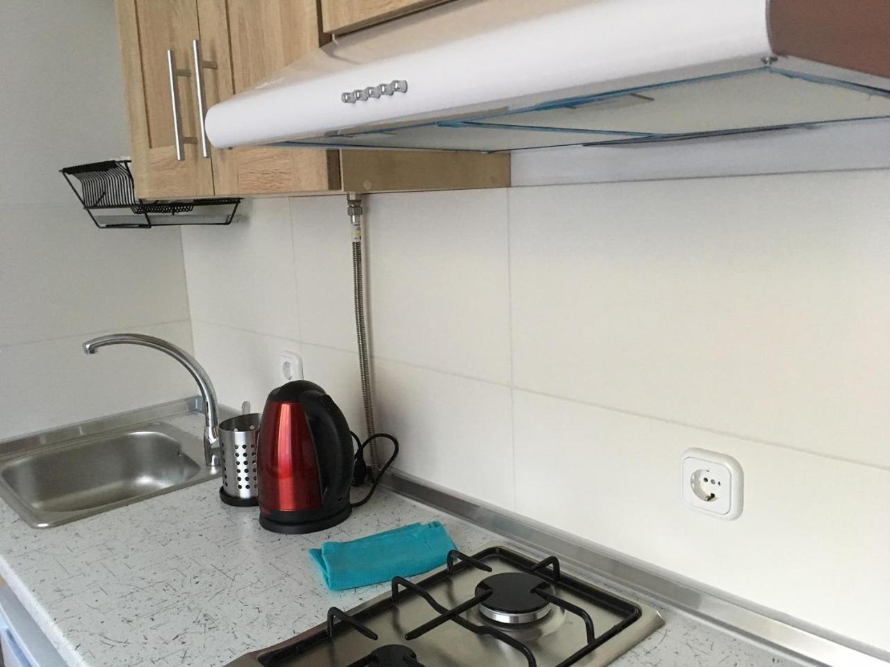 Apartaments In Karpaty Mizhhirya  Extérieur photo