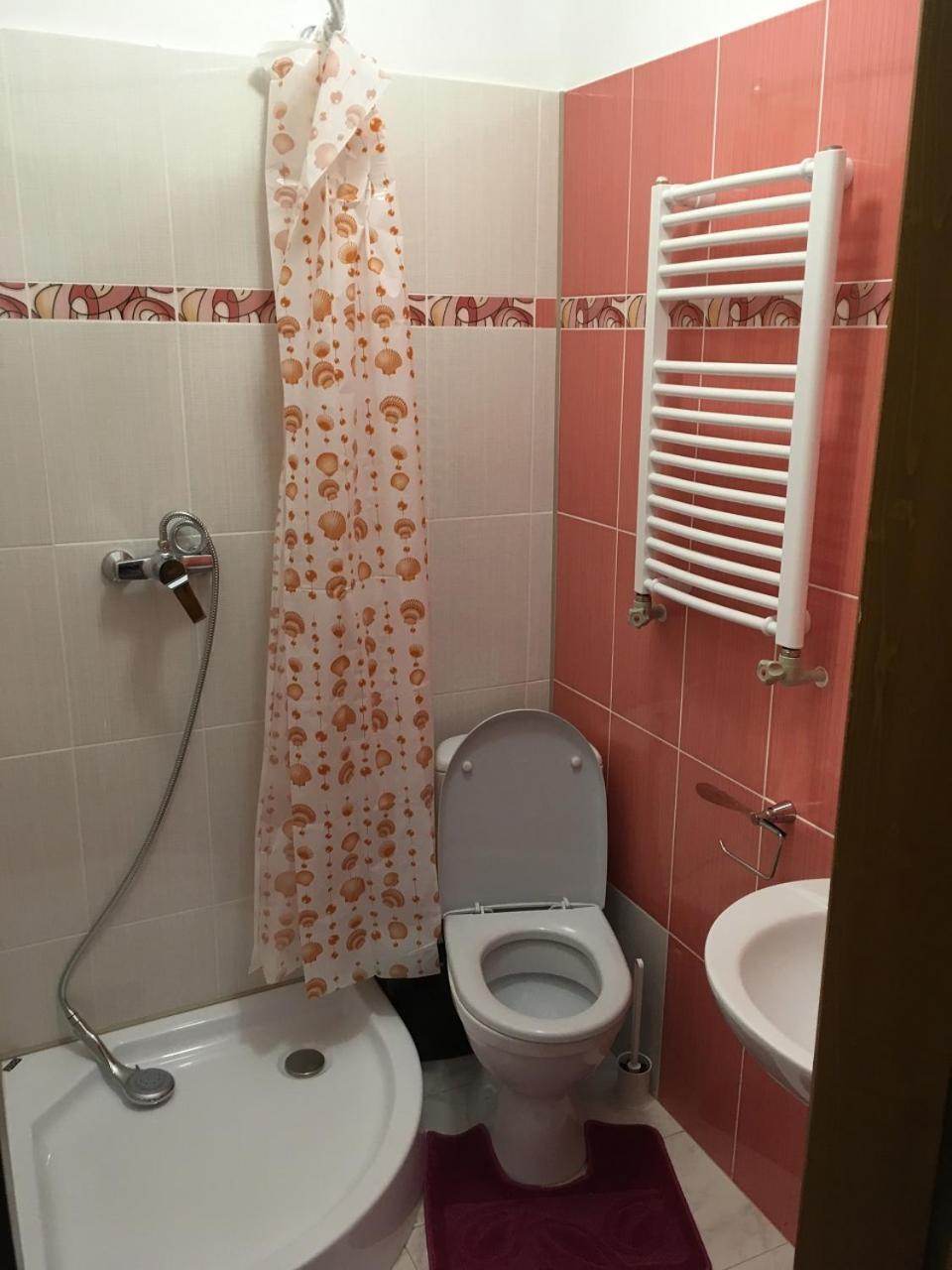 Apartaments In Karpaty Mizhhirya  Extérieur photo