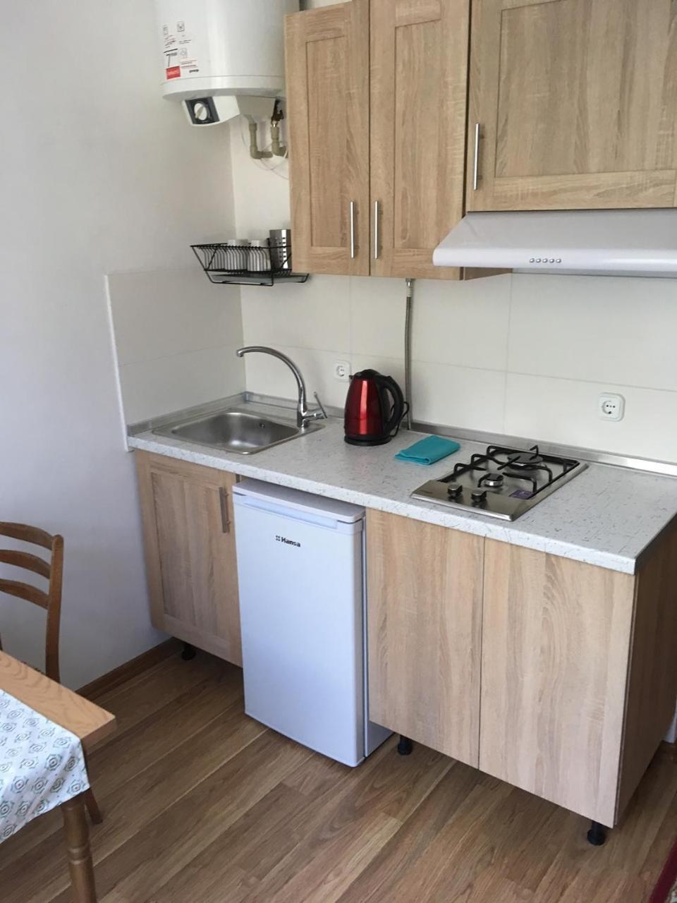Apartaments In Karpaty Mizhhirya  Extérieur photo