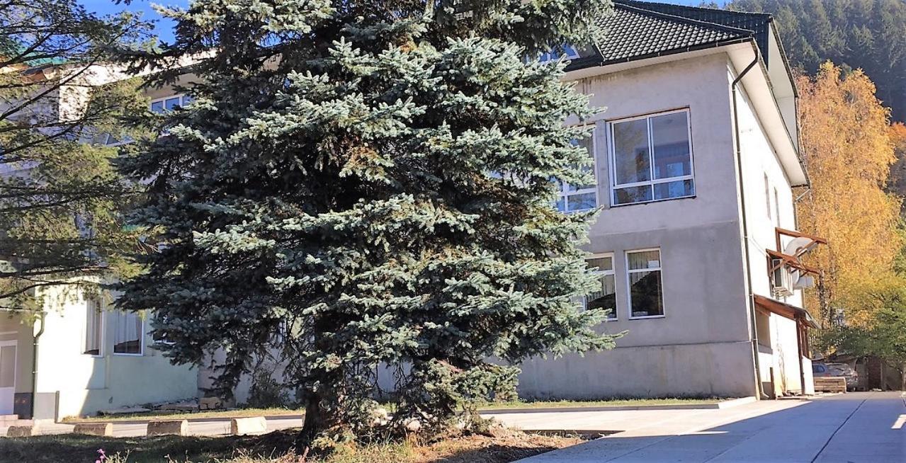 Apartaments In Karpaty Mizhhirya  Extérieur photo
